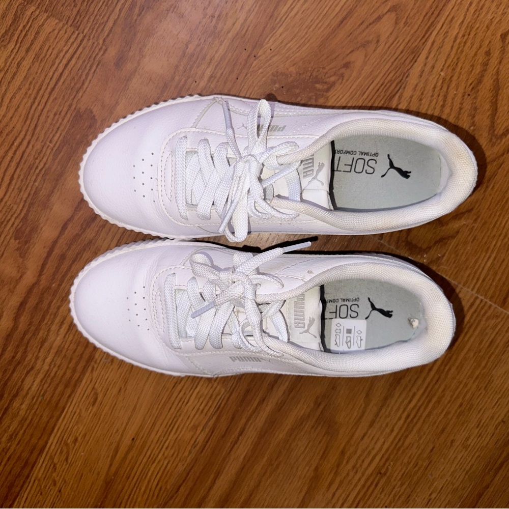 White pumas